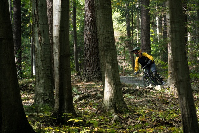 Jaki wybrać kask do rowerów enduro?
