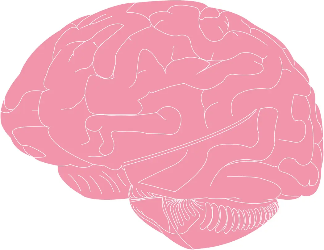 Jak wspomóc mózg dziecka w trakcie nauki języka?