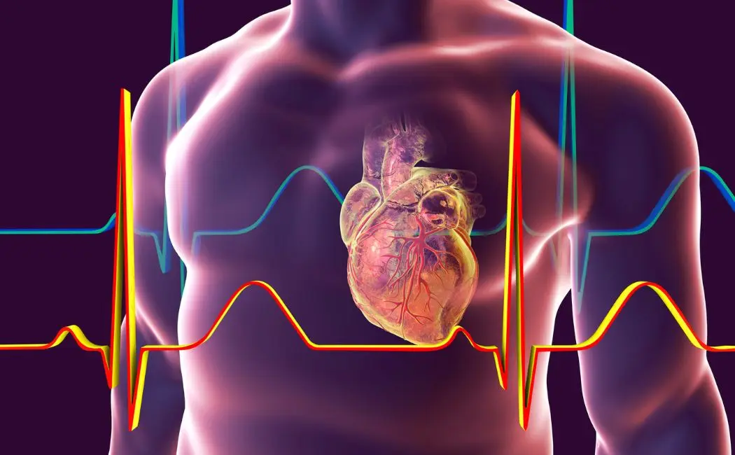 Jak uniknąć najczęstszych chorób serca dzięki odpowiednim badaniom