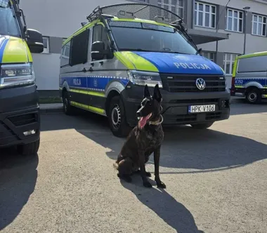 26 sierpnia - Międzynarodowy Dzień Psa. Poznajcie czworonożnych funkcjonariuszy Komendy Miejskiej Policji w Rzeszowie - Aktualności Policja Podkarpacka