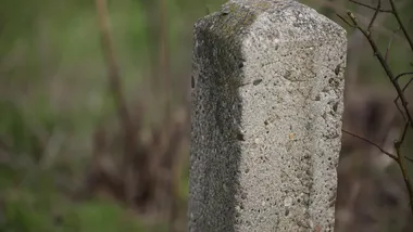 Siedem prób na granicy z Białorusią. Wojsko wspiera Straż Graniczną