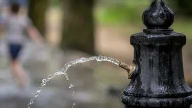 Nowy park na Miłocinie. Prawie 3,6 tys. roślin między domami a przemysłem