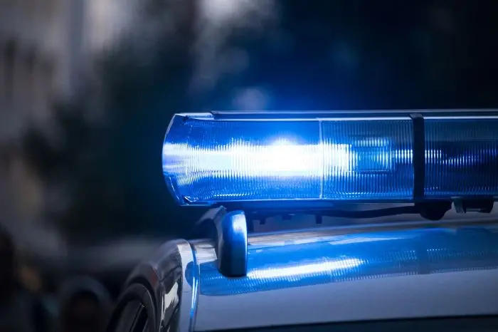 Policja Rzeszów: Policjanci pomogli rannemu bocianowi
