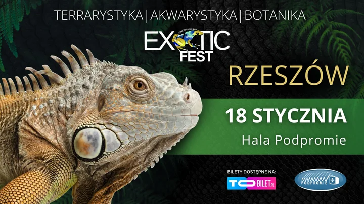 Grafika promocyjna wydarzenia Exotic Fest Rzeszów — targi egzotycznych zwierząt i roślin (18 stycznia 2026)