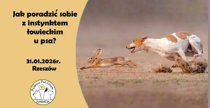 Grafika promocyjna wydarzenia Jak poradzić sobie z instynktem łowieckim u psa? — warsztat w Rzeszowie