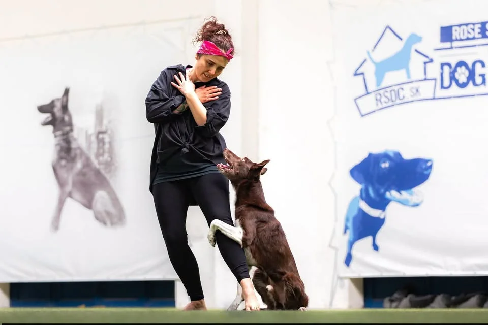 Grafika promocyjna wydarzenia Warsztaty dogdancing z Darią Porębiak w Rzeszowie