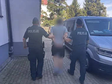 Dziesięć podpaleń w Nowej Dębie. 30-latek groził świadkowi i trafił do aresztu