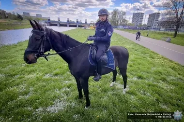 Konne patrole wróciły na rzeszowskie bulwary i pilnują tłumów
