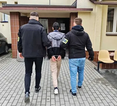 Leśne podpalenia pod Stalową Wolą - policja zamknęła sprawę aresztem