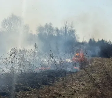 Policjanci ugasili pożar traw przy zabudowaniach - sekund od tragedii