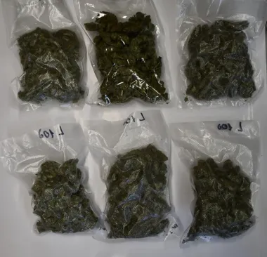 39-latek z Niska miał niemal 2 kg narkotyków. Trafił do aresztu