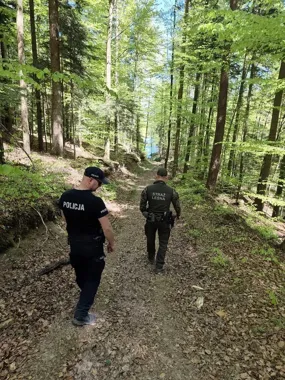 Dwaj mężczyźni na crossach wjechali do lasu pod Jasienicą Rosielną - grozi im wysoki mandat