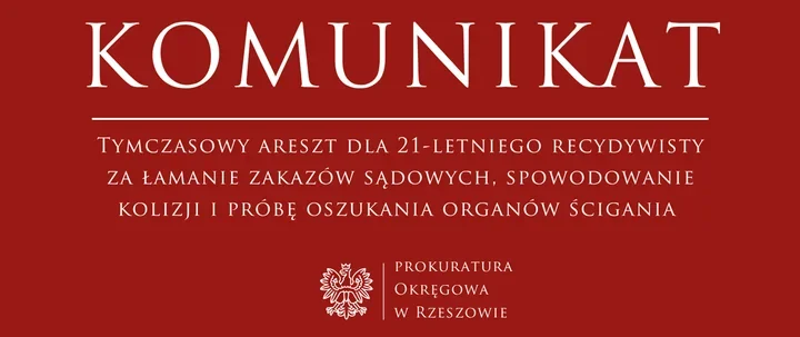 Tymczasowy areszt dla 21-latka po kolizji i złamaniu sądowych zakazów