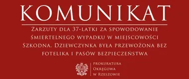 Zarzuty po śmiertelnym wypadku w Szkodnej. Dziecko bez pasów