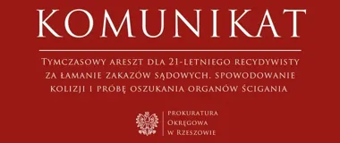 Tymczasowy areszt dla 21-latka po kolizji i złamaniu sądowych zakazów